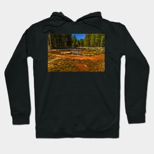 Dana Fork Yosemite National Park Hoodie